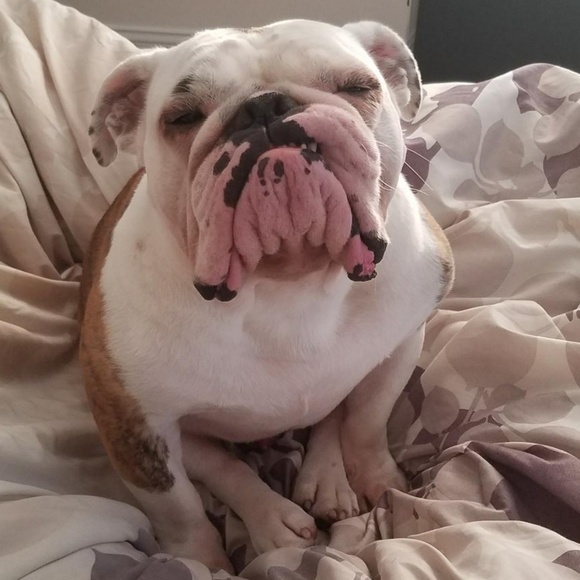 the deets - Picture 3 of 3